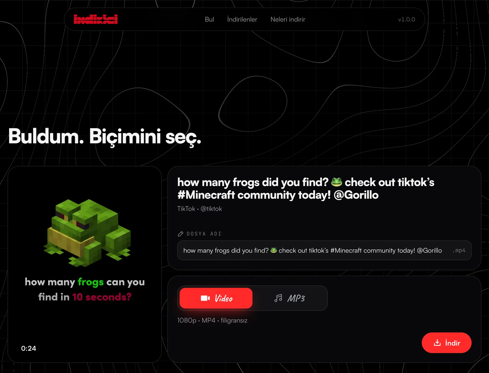 İndirici uygulamasının ana ekranı